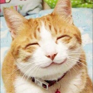 Meet your Posher, Janae